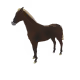 11846