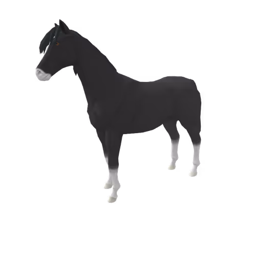 Zkrace Horses