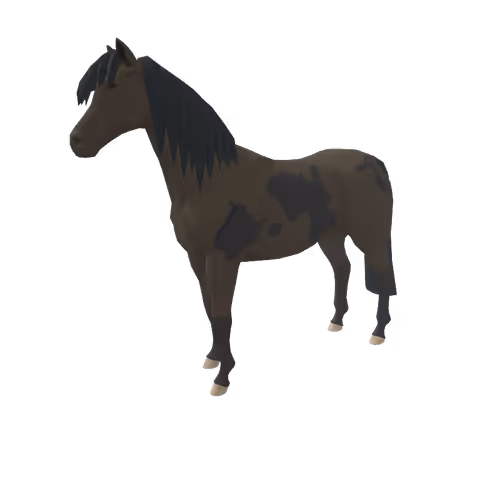Zkrace Horses