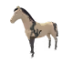 9372