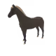 2462