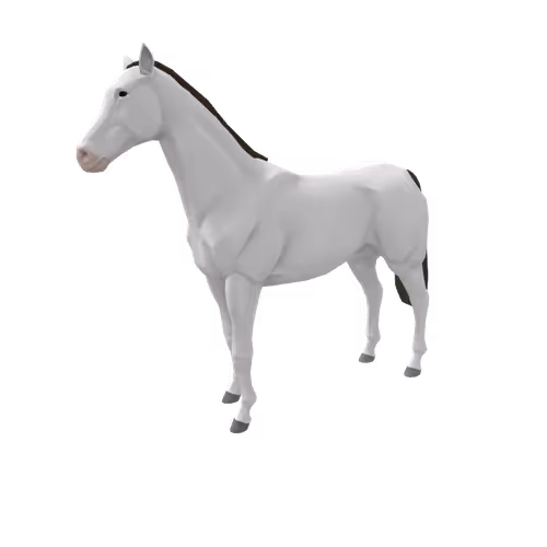Zkrace Horses