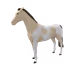 497