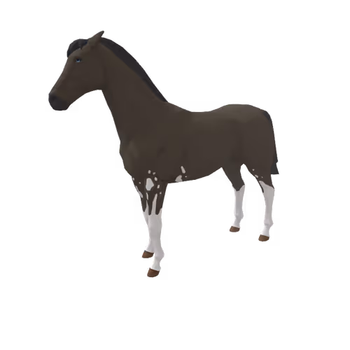 Zkrace Horses