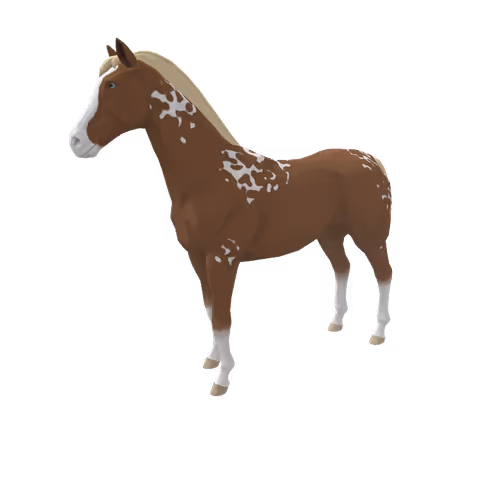 Zkrace Horses