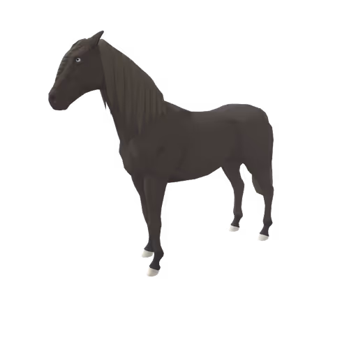 Zkrace Horses