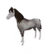 5241