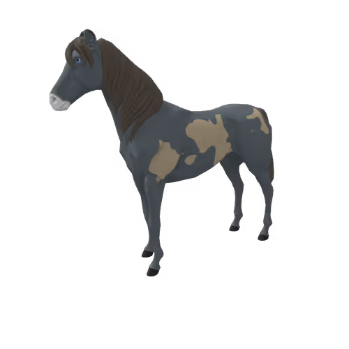 Zkrace Horses