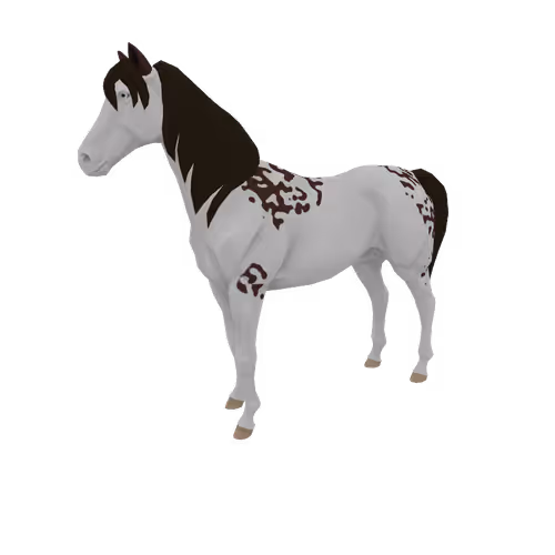 Zkrace Horses