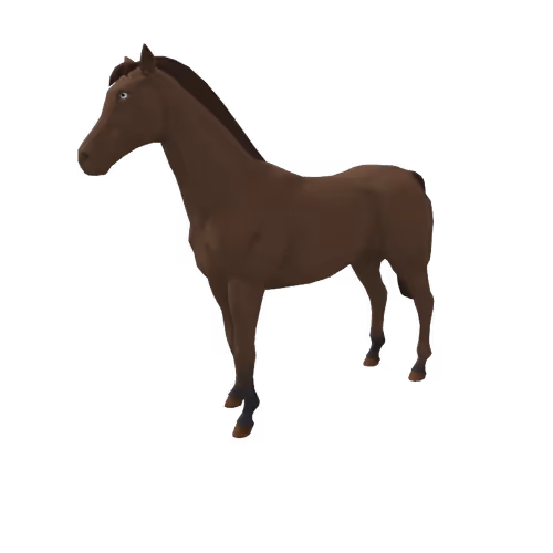 Zkrace Horses