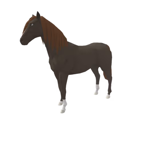 Zkrace Horses