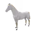 7689