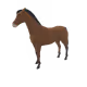 2407