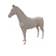 10428