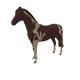 5925