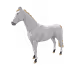 8751