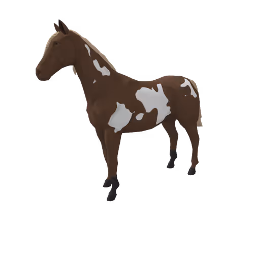 Zkrace Horses