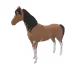 621