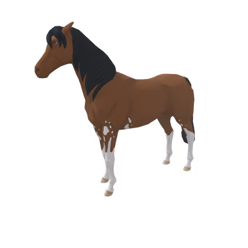 Zkrace Horses