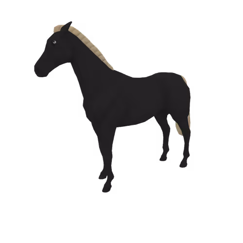 Zkrace Horses