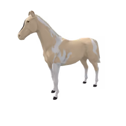 Grada Bairnsfeather