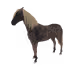 3297