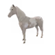 9016