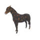 5348
