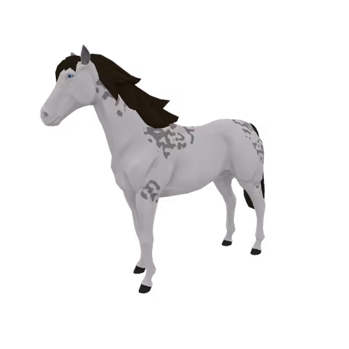 Zkrace Horses