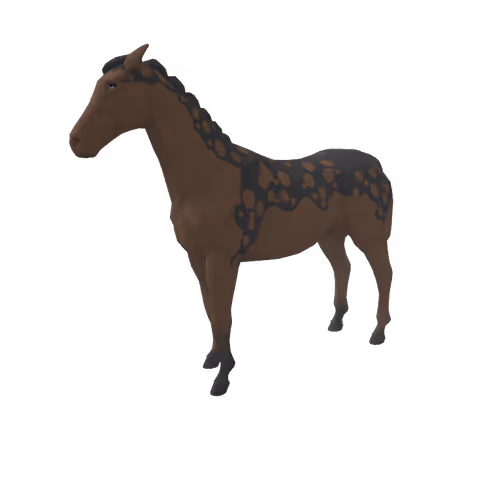 Zkrace Horses