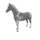 14467