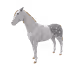6898