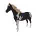 4558