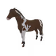 5215