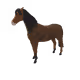 6005