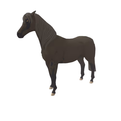 Zkrace Horses