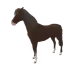 10747