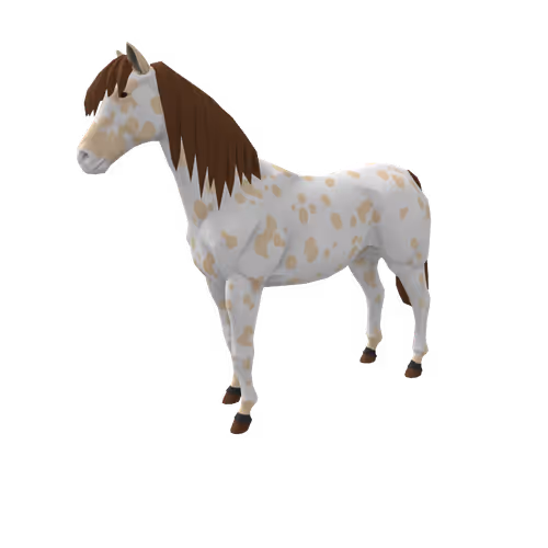 Zkrace Horses