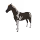 4624
