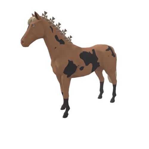 Zkrace Horses