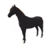 8805