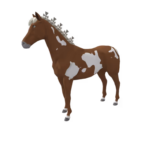 Zkrace Horses