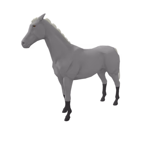 Zkrace Horses