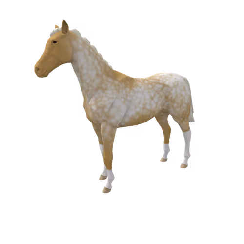 Zkrace Horses