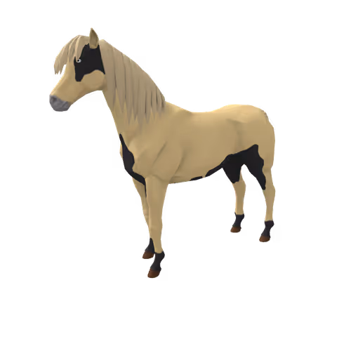 Zkrace Horses