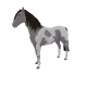 3809