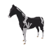 6235