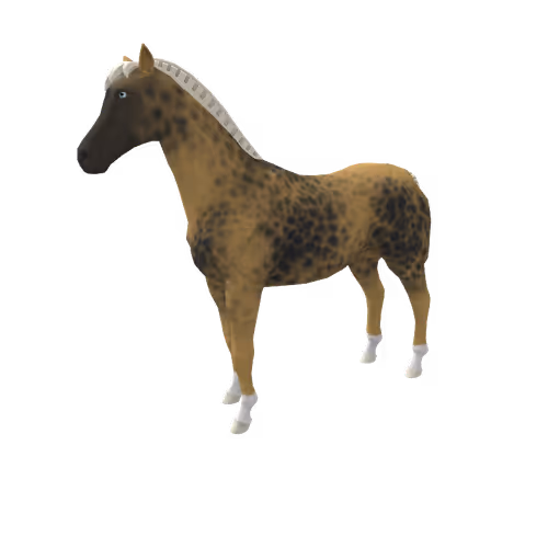 Zkrace Horses