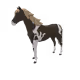 10498
