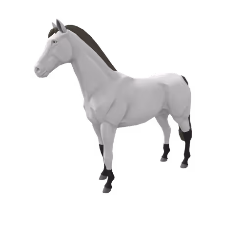 Zkrace Horses